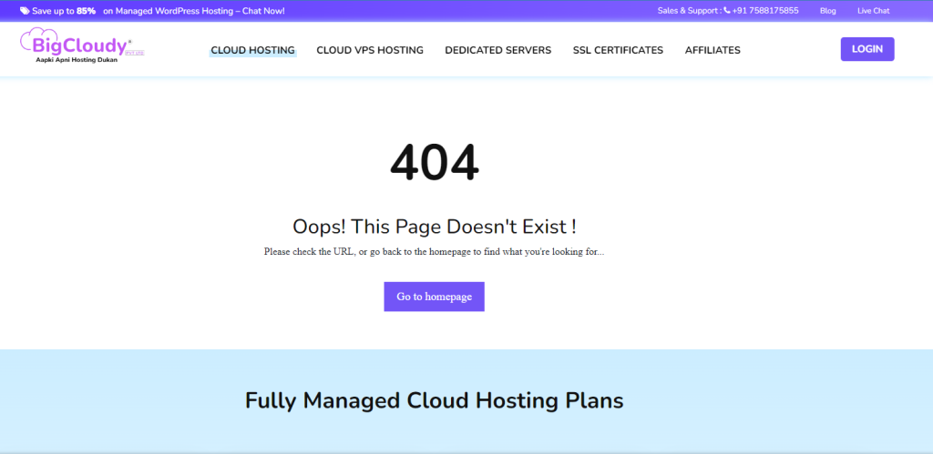 404 Page Not Found | BigCloudy 