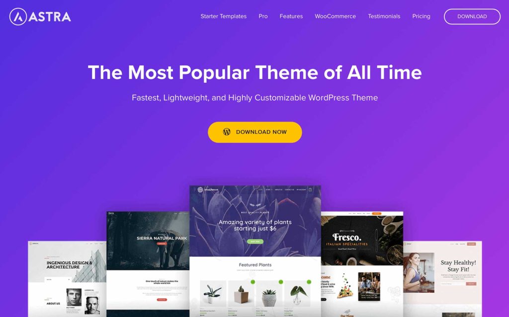 Astra Best WordPress Theme