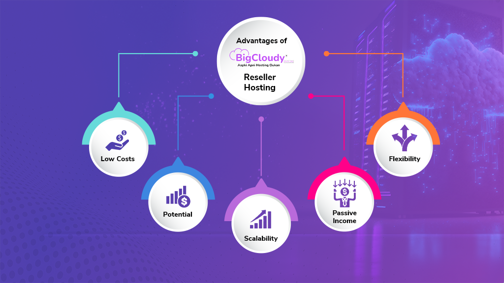 Advantages of Reseller Hosting Business | BigCloudy