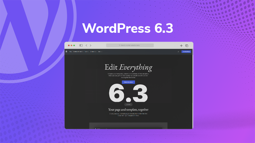 WordPress 6.3 Update | BigCloudy