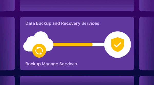 Data Backup and Recovery Services
