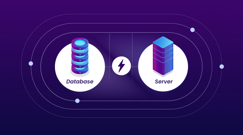 Difference between Server and Database