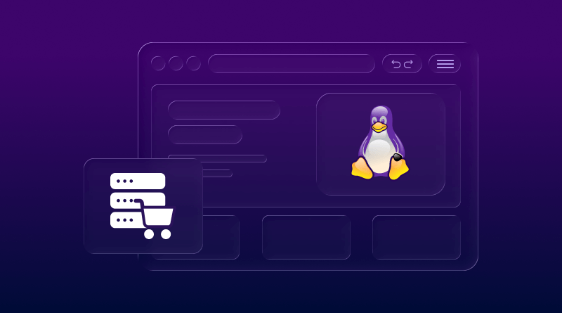 Linux VPS Hosting for Ecommerce