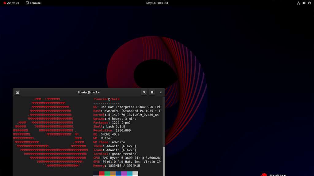 Red Hat Enterprise Linux | Best Linux Distros | BigCloudy