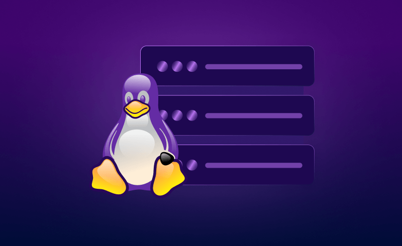 Linux server hosting