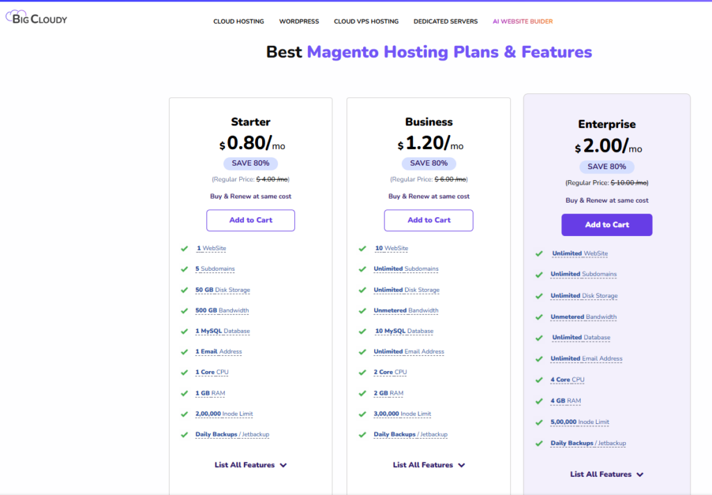 Magento Hosting Plans | BigCloudy Blog
