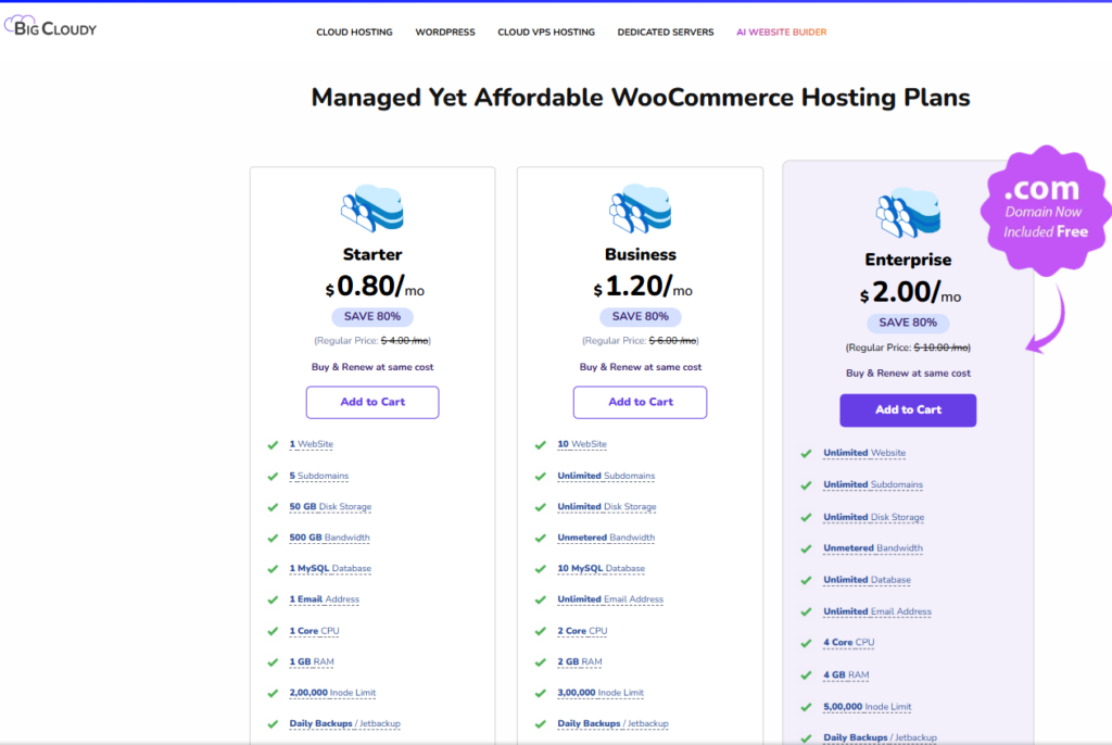 WooCommerce Hosting Plans | BigCloudy Blog