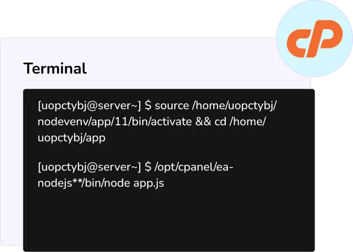 Enhanced Website Security