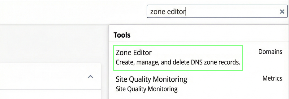 Domain management screen with DNS Settings